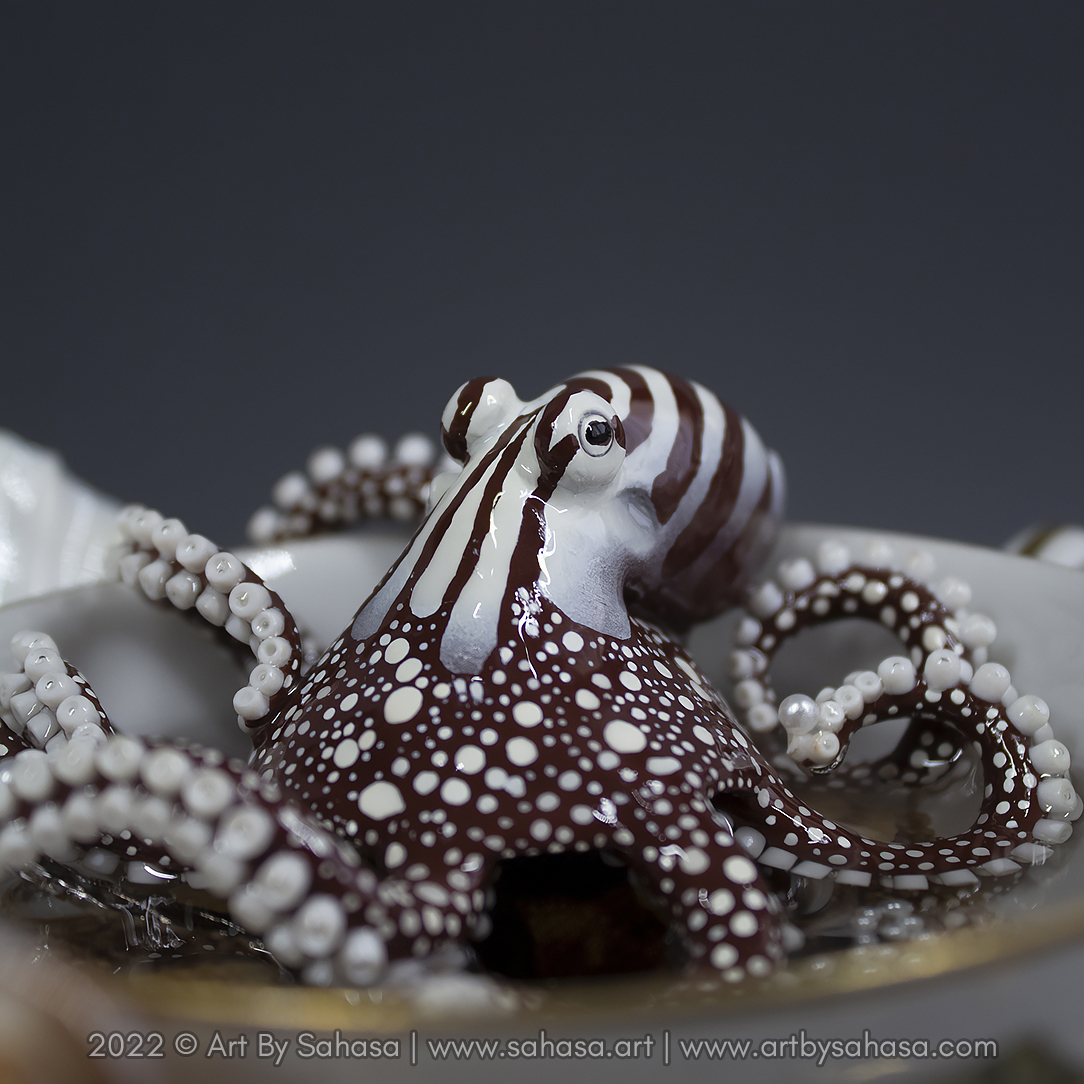 Increased Pacific Striped (aka Harlequin) Octopus Sculpture “Aurora” shut-up – 2022 – Sahasa
