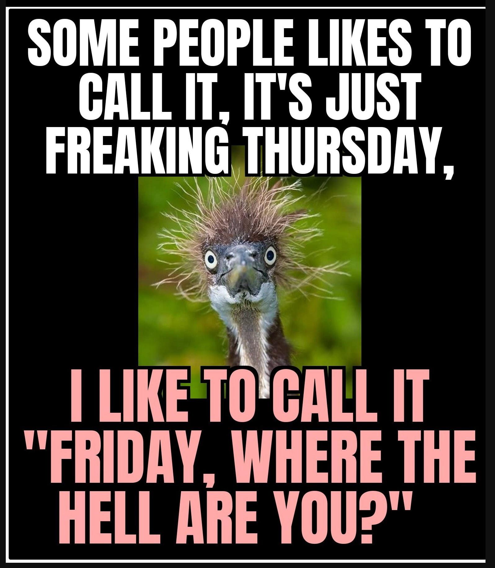 Thursday humor