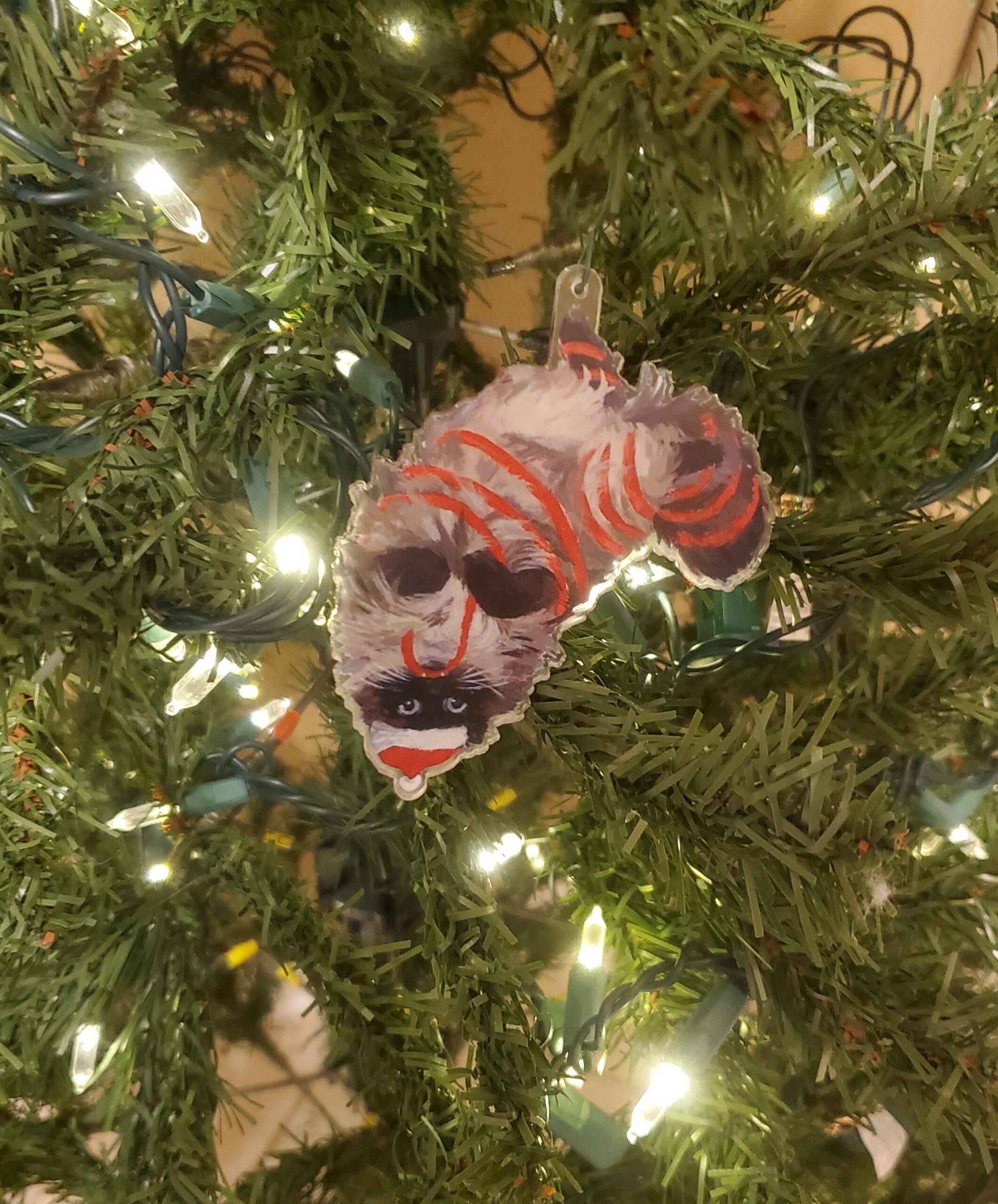 Noodle has the honor of being the foremost decoration on our tree this year.
