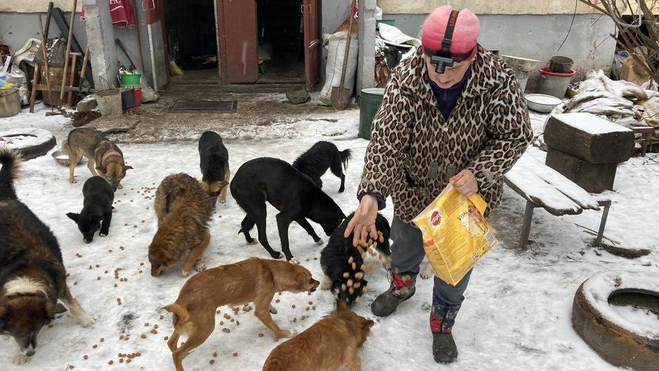 “I might perhaps perhaps not breeze away the animals”: Elena Bubenko from Russky Tyshek fed 200 dogs and cats for the length of the occupation