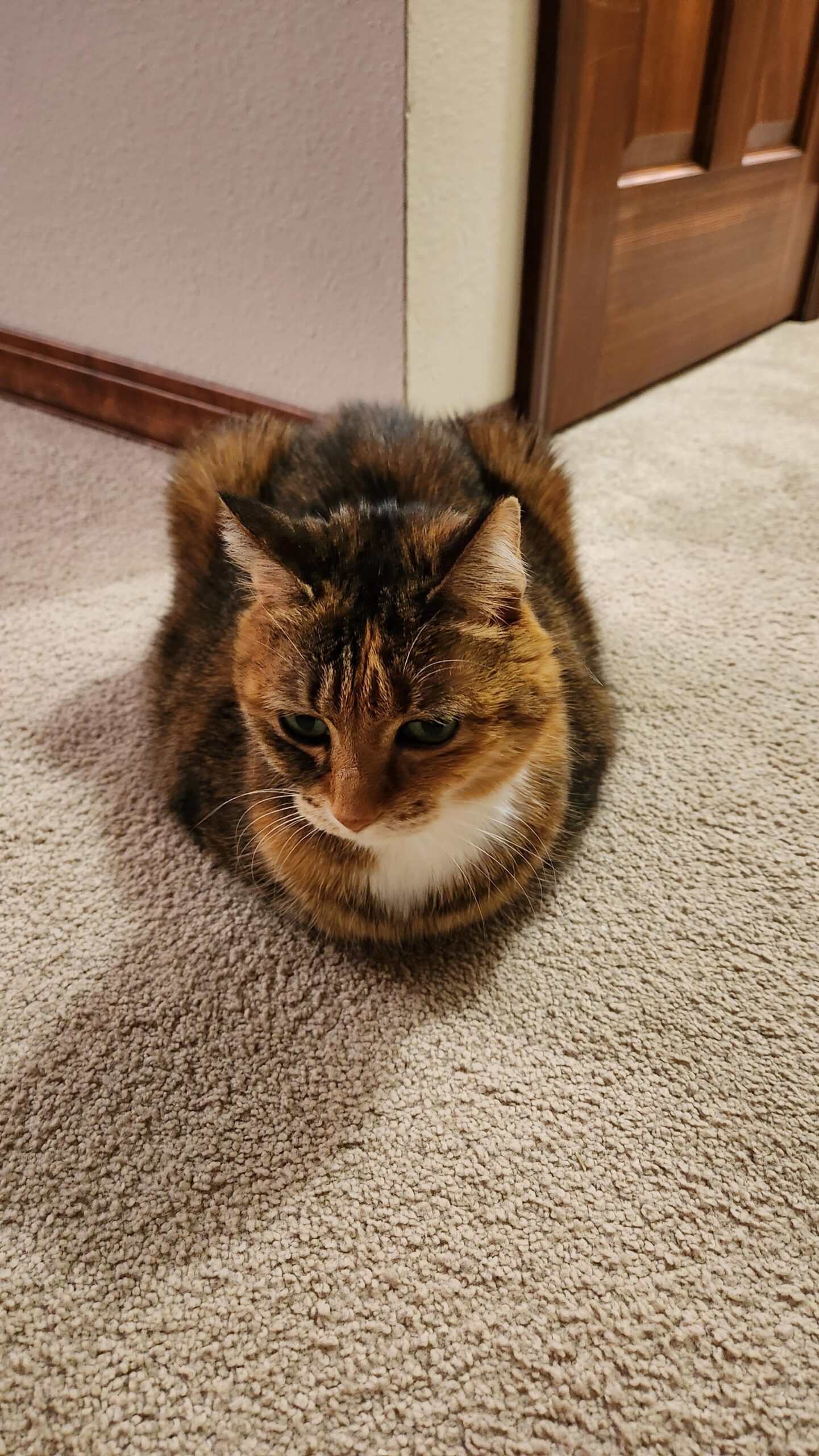 Quality loaf