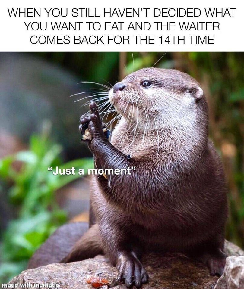 Its my birthday, otters for every person!