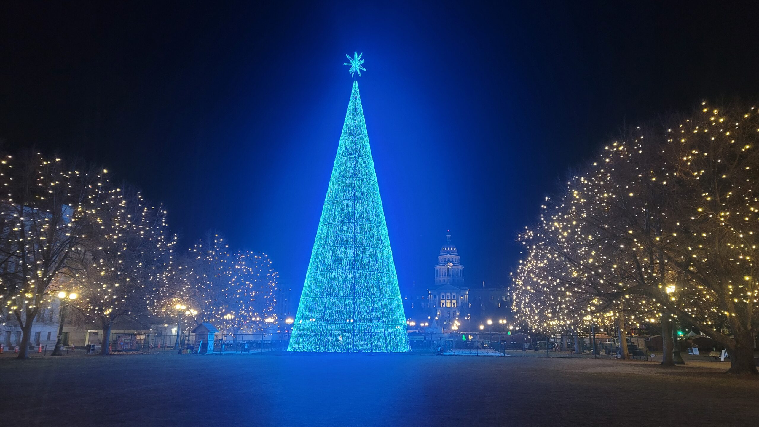 Huge Blue Christmas Tree