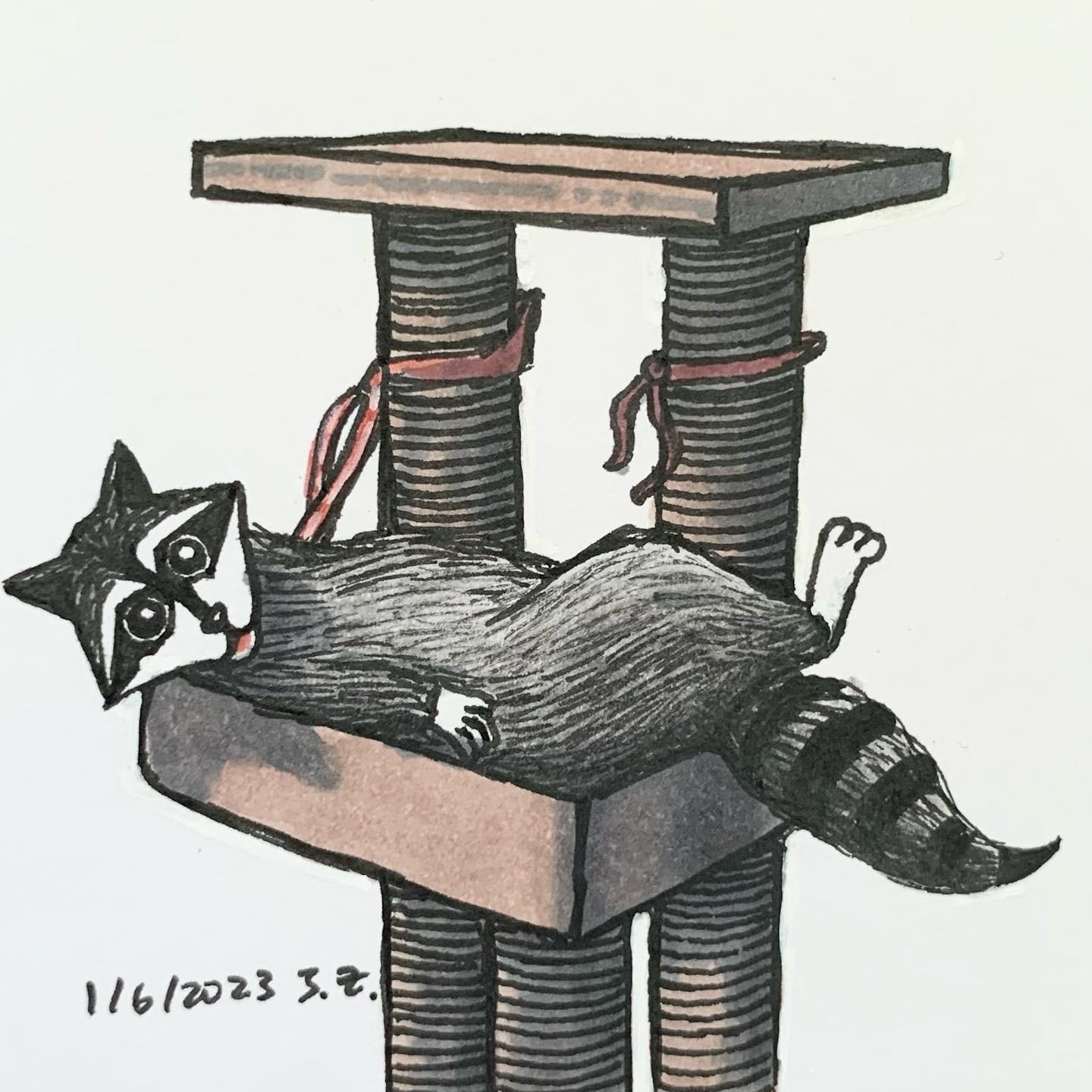 Raccoon lounges on a cat tree 1/6/2022 Sketchdaily