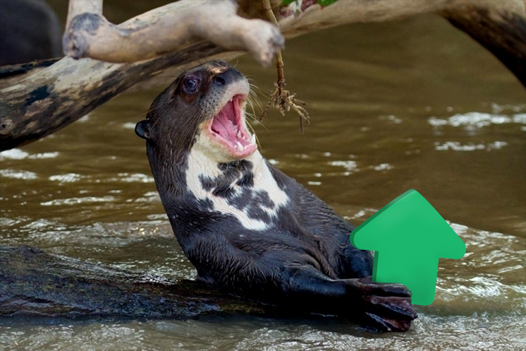 otters with upvotes for the Twenty ninth