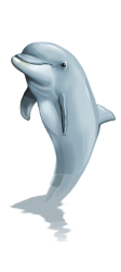 dolphin, png, mammal