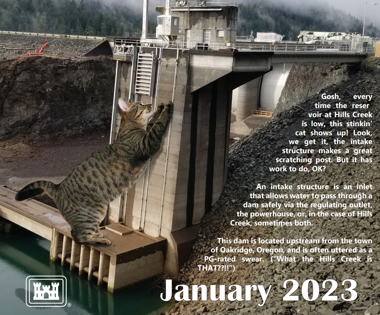 The Army Corps of Engineers made a Cat Calendar.