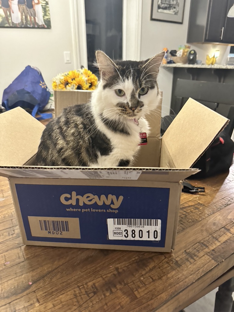Captain Beans would take care of to make certain you that your Chewy.com expose has been stuffed with care and double checked for accuracy! She’s on it.
