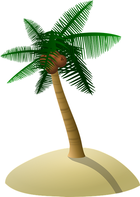 coconut tree, palm tree, dune