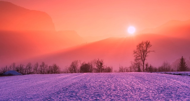 winter, snow, sunrise