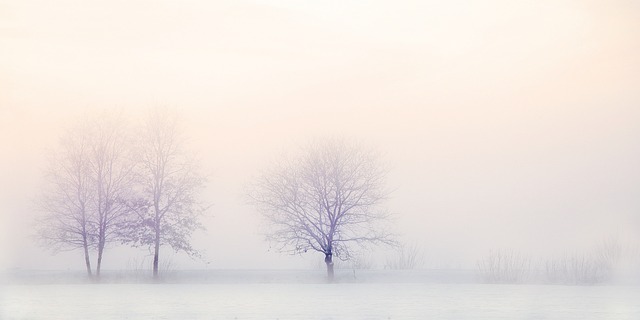 winter landscape, trees, snow