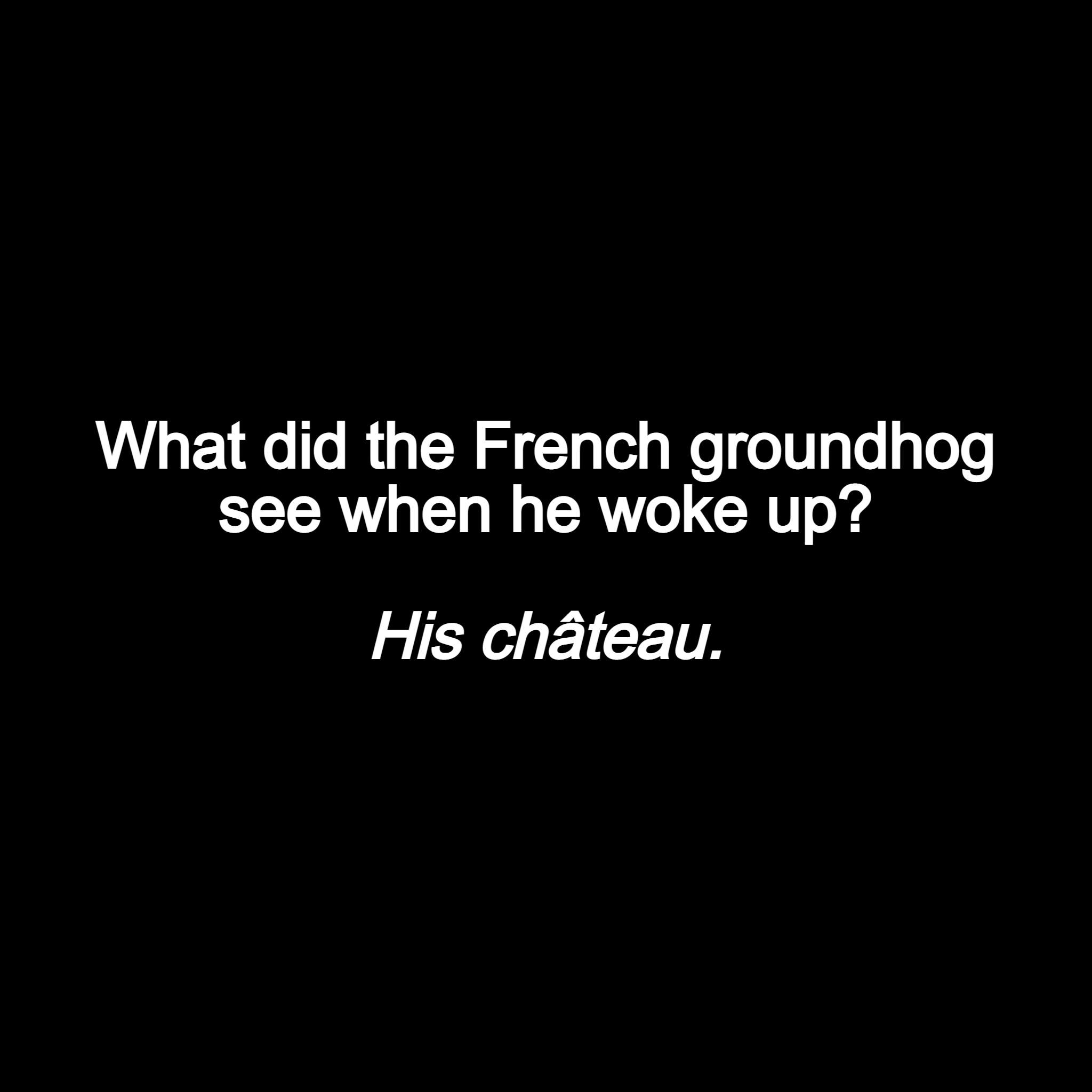 French groundhog.