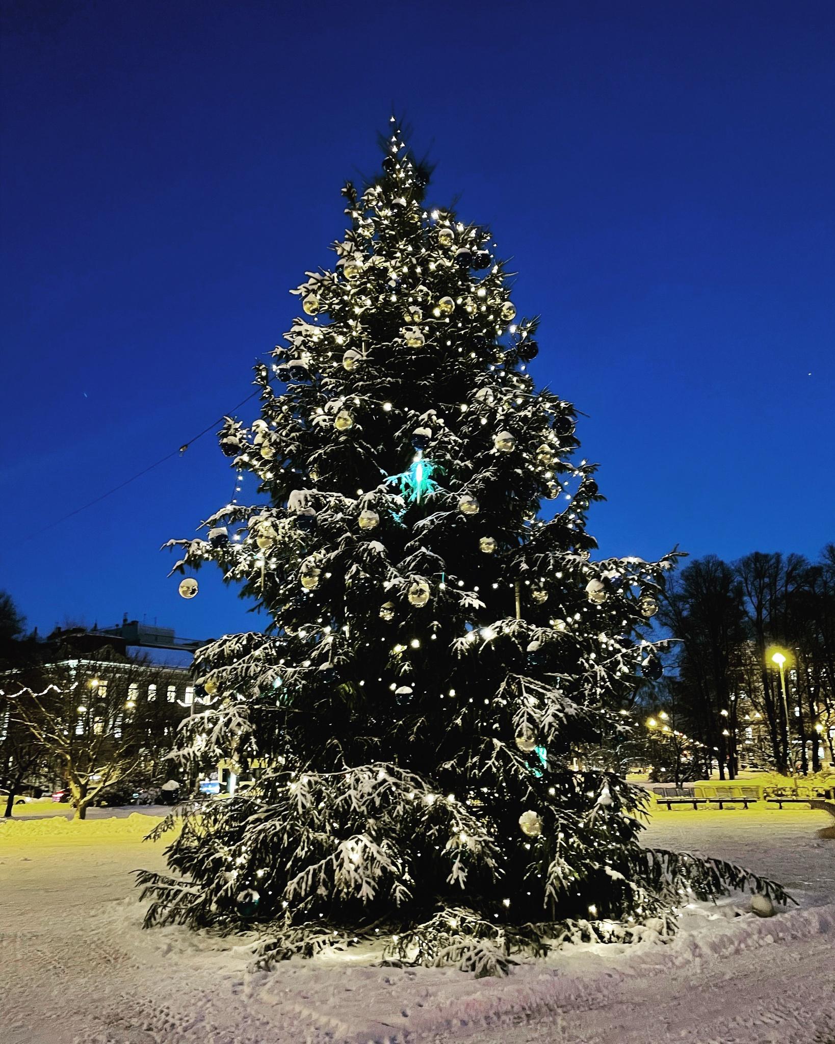 Merry Christmas! Edifying a tree in Riga /Latvia