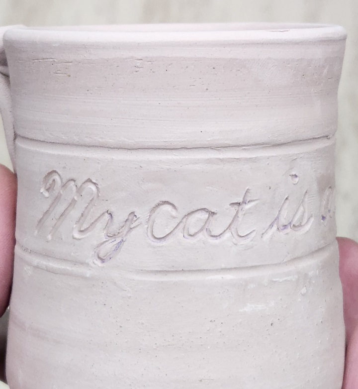 “My cat is an @$$hole” mug