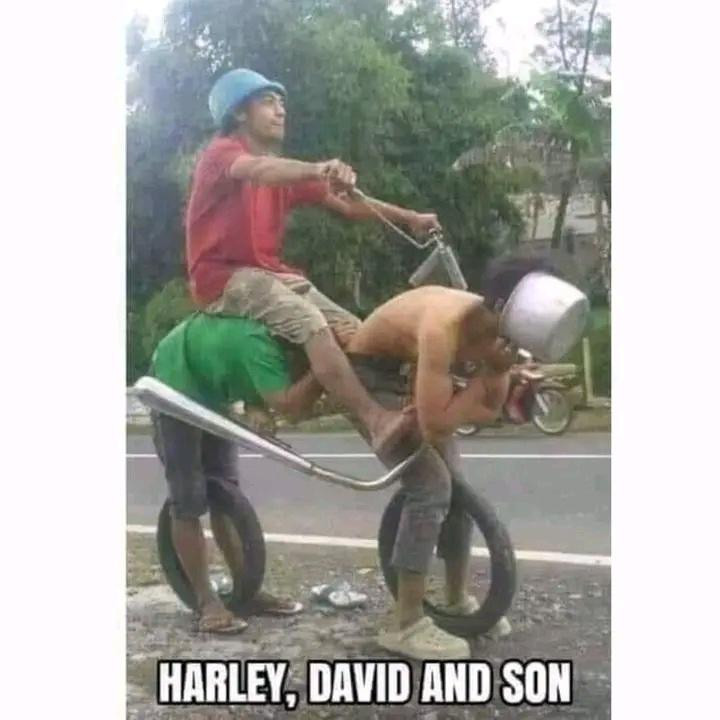 Harley,David & Son