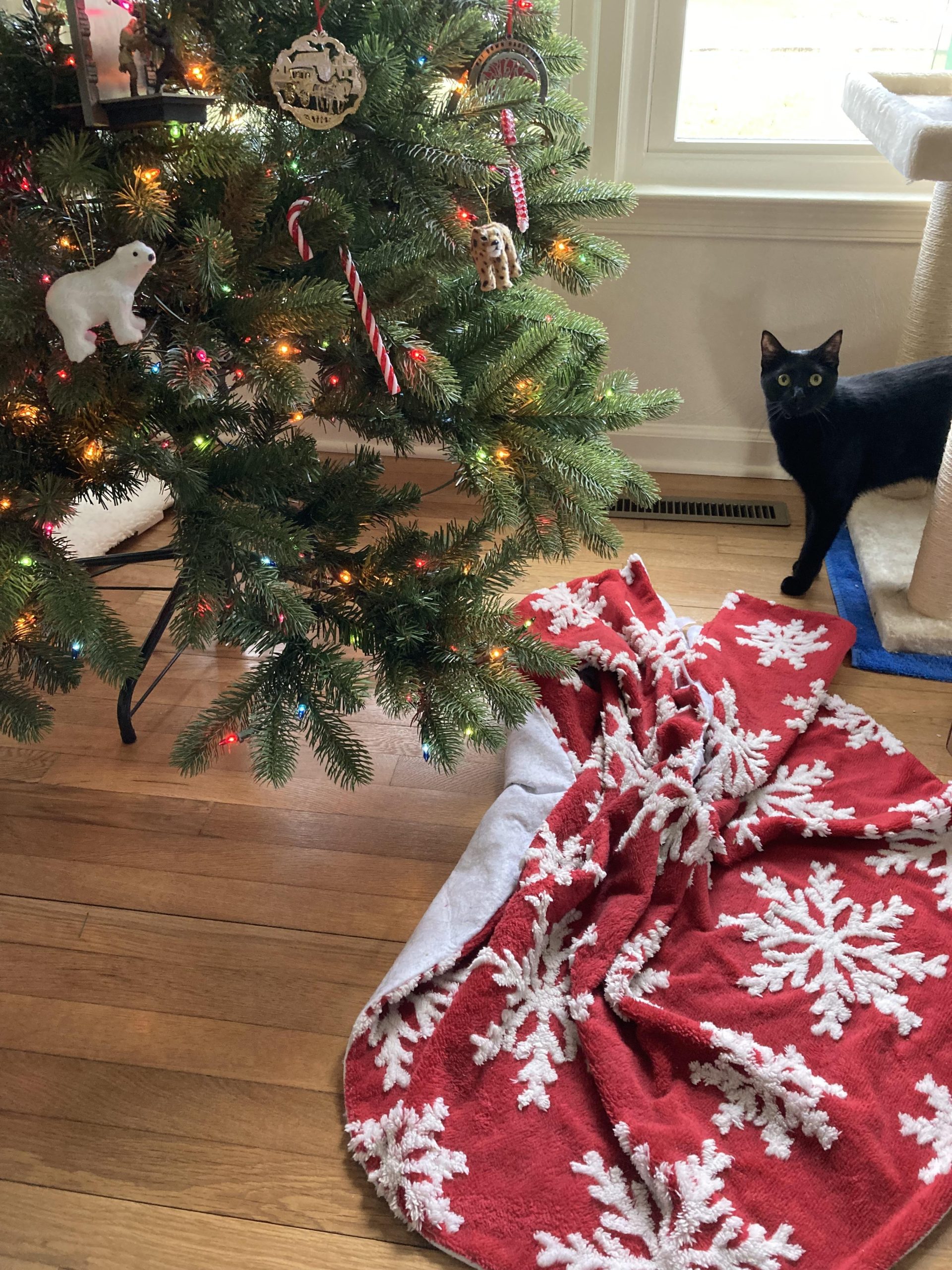 Tree skirt’s migrating all over again…