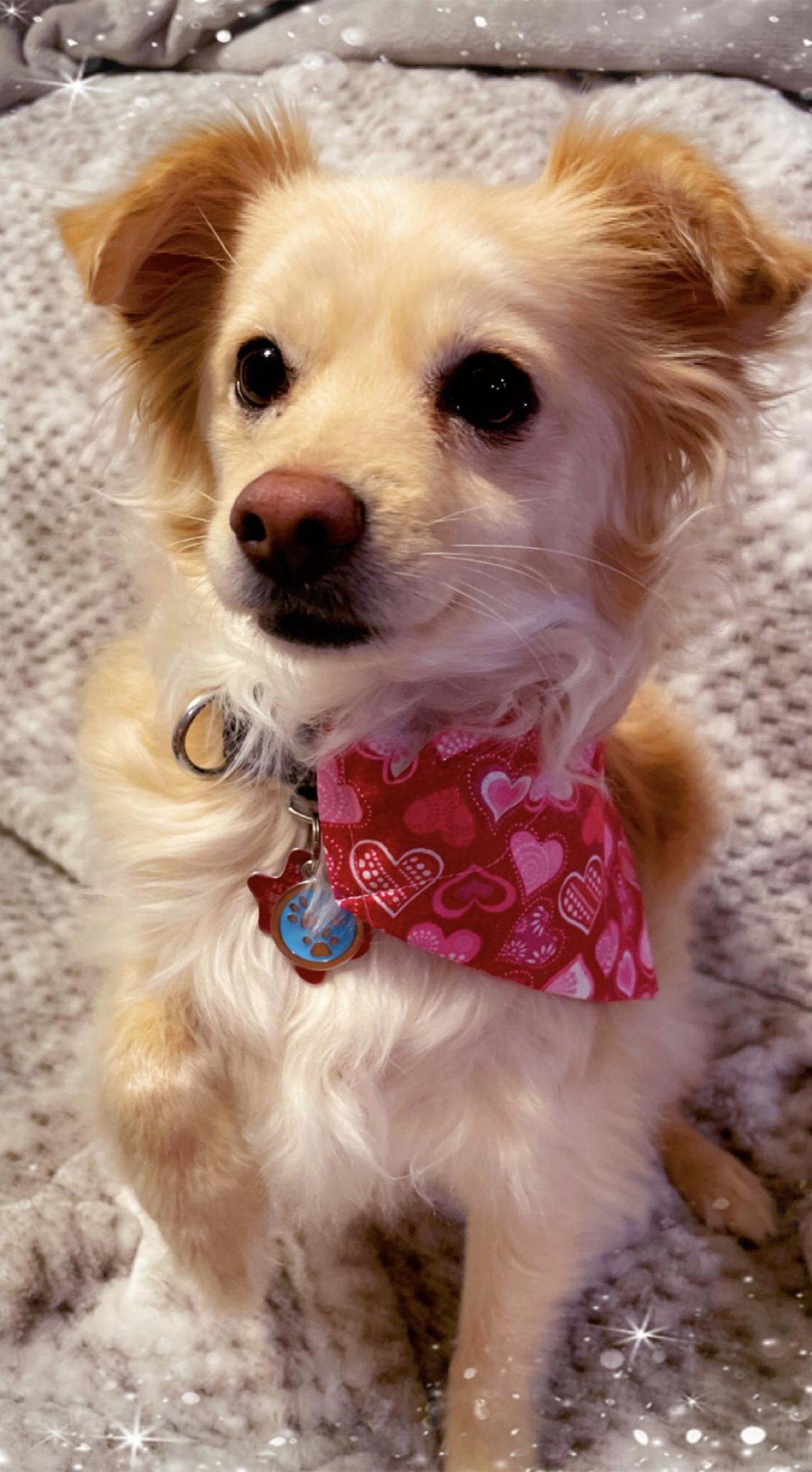 Remy would possibly maybe be your Valentine
