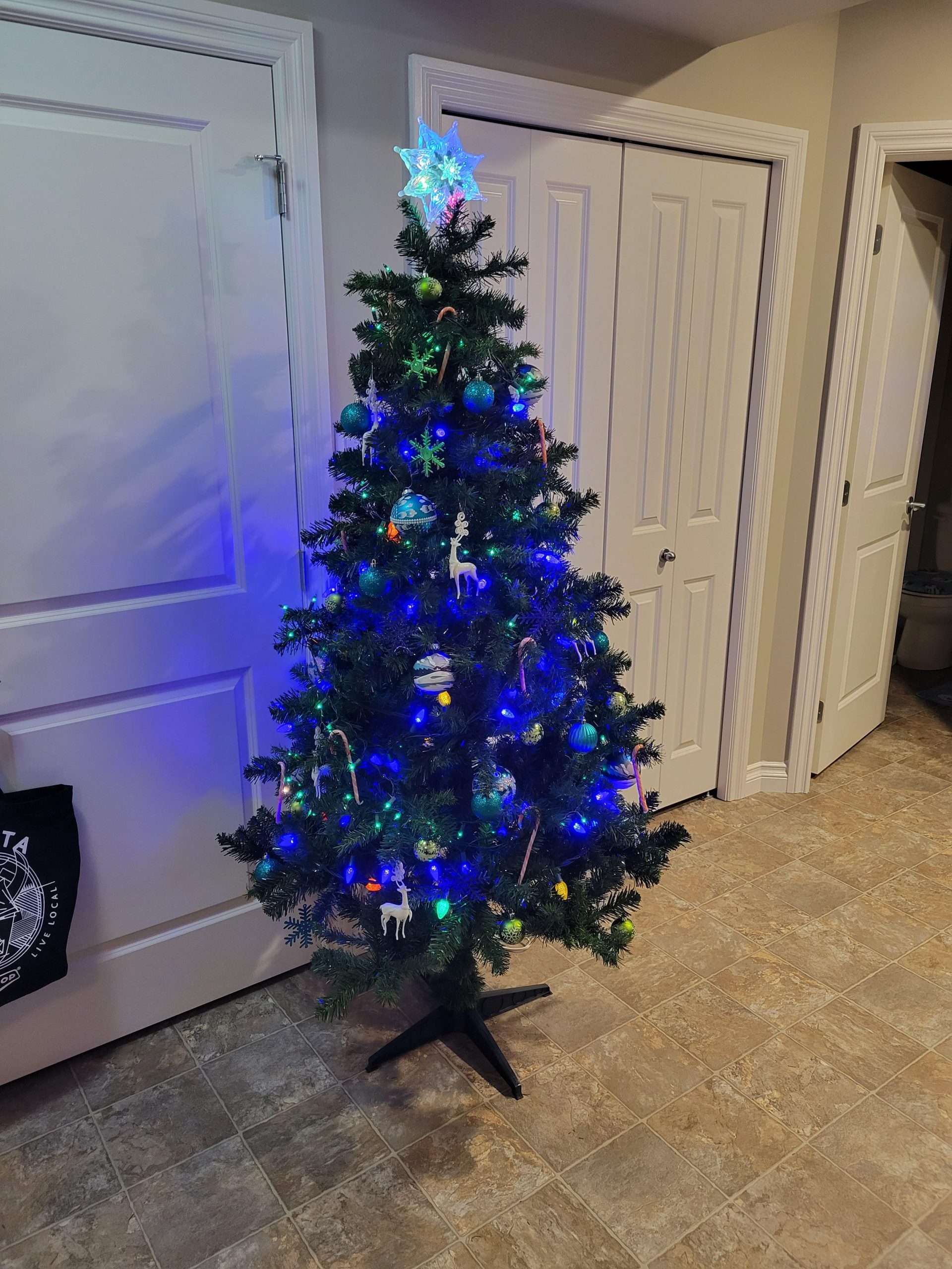 My first Christmas tree.