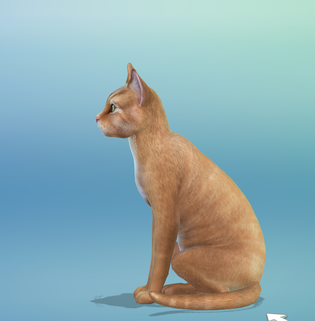 Repainting a cat in Sims 4. Work in progress.