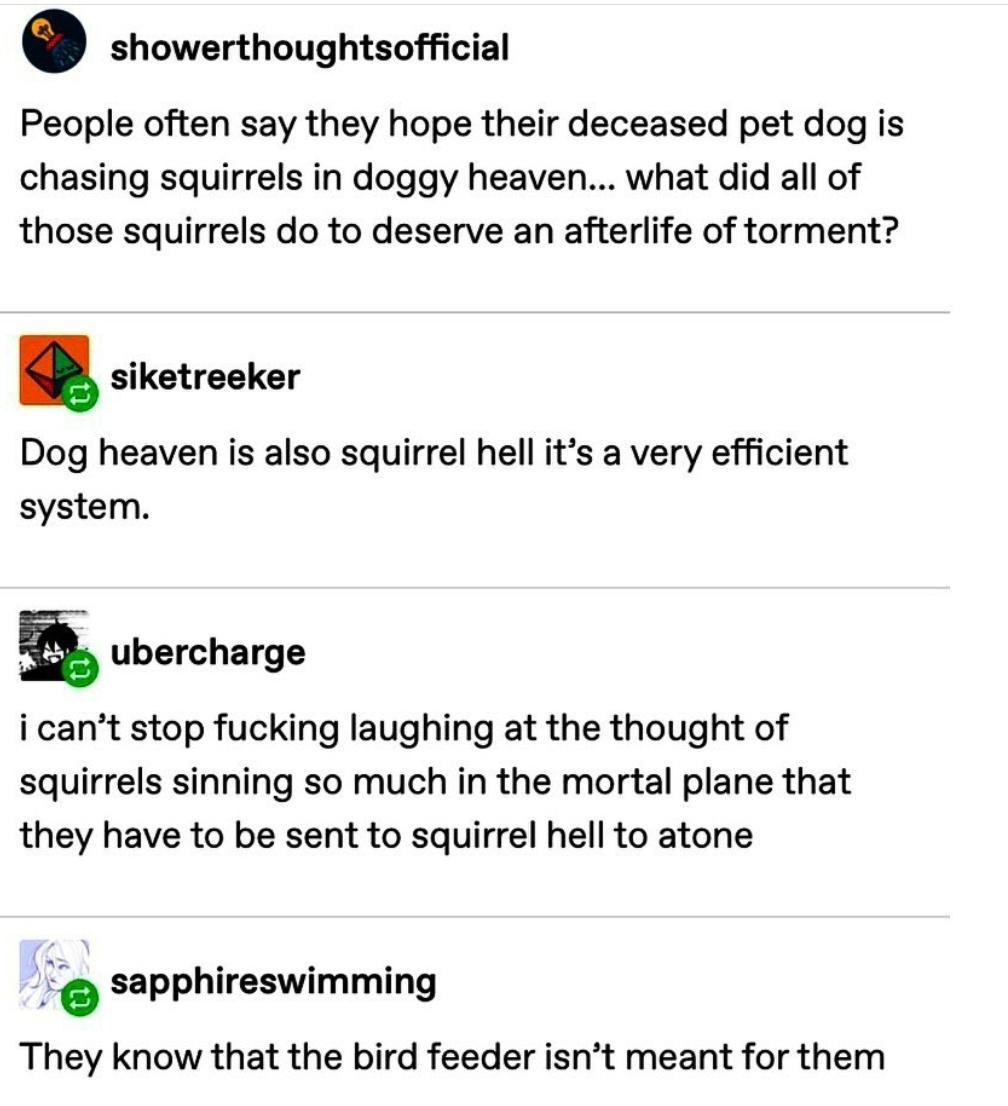 Home dog heaven = squirrel hell ?