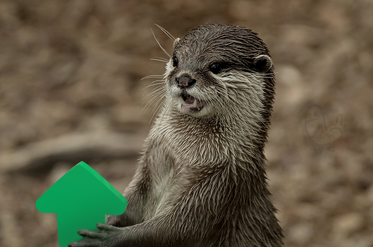 otters with upvotes for the twenty ninth