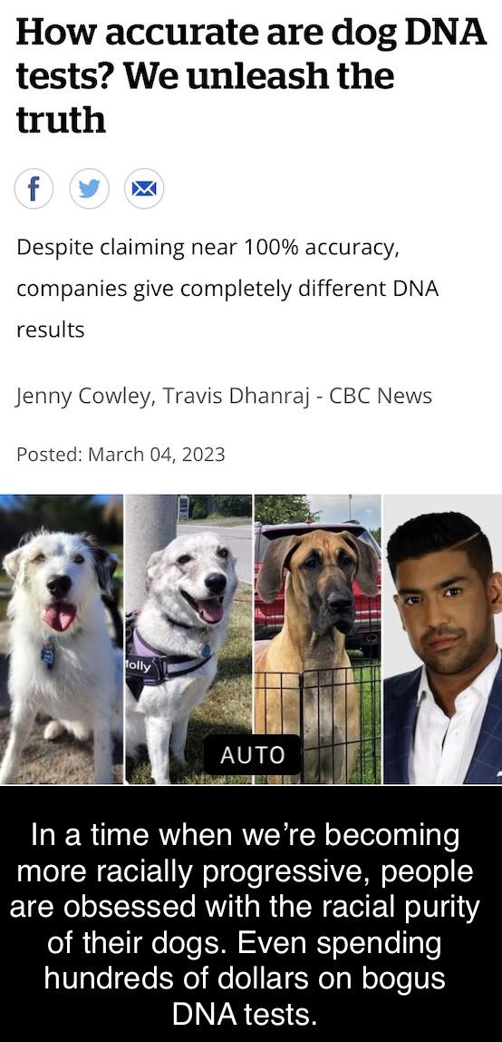 Other folks are paying for dog DNA tests