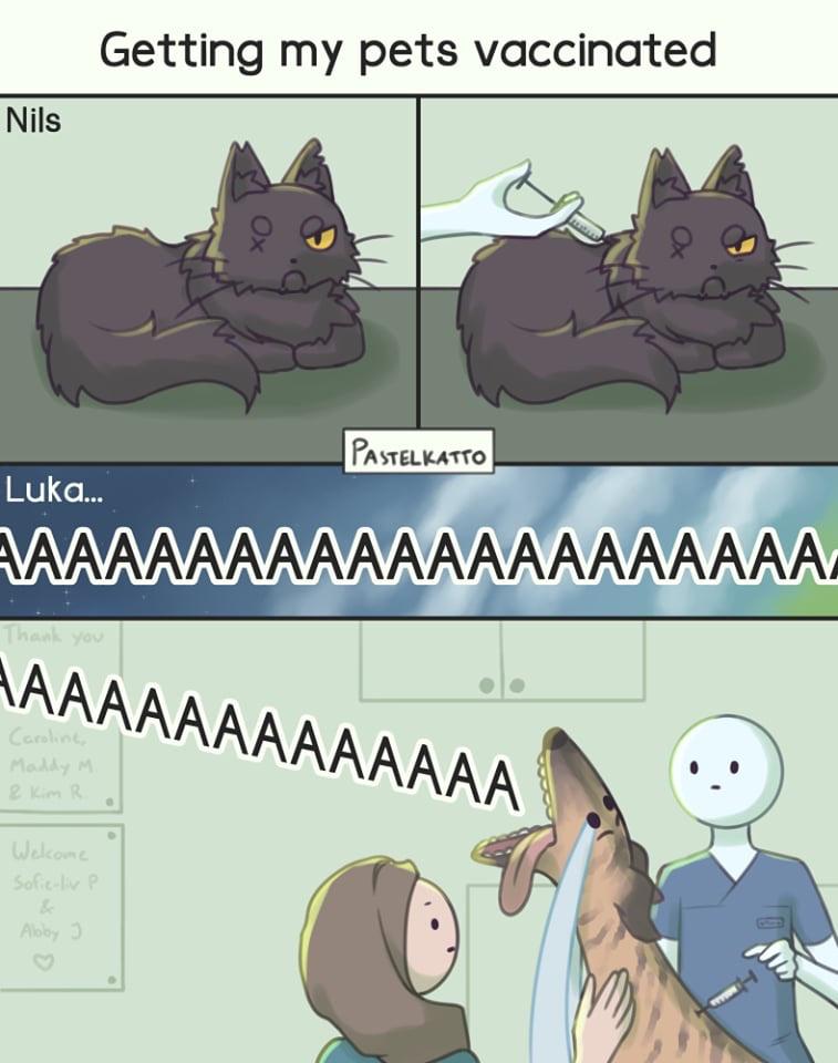 Cat v Dogs