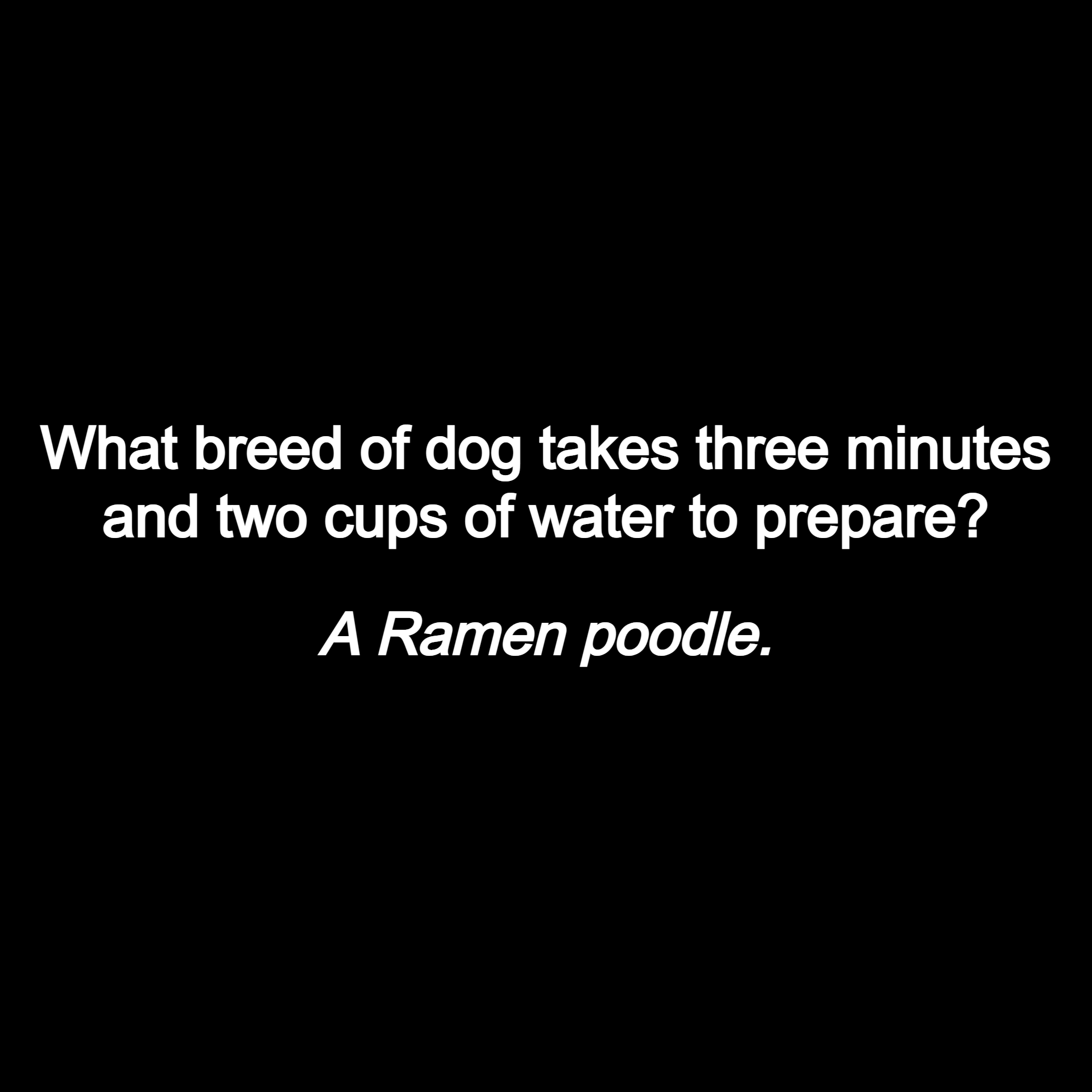 Dad Humorous memoir – Ramen Poodle.