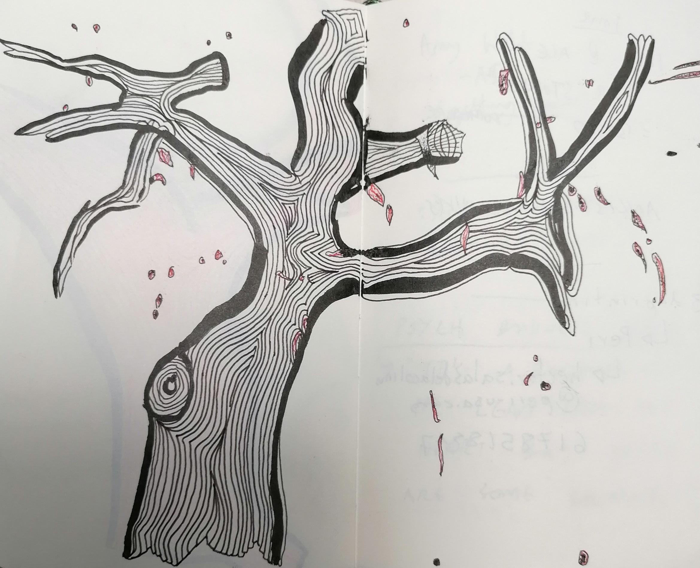 Austin Tree drawing