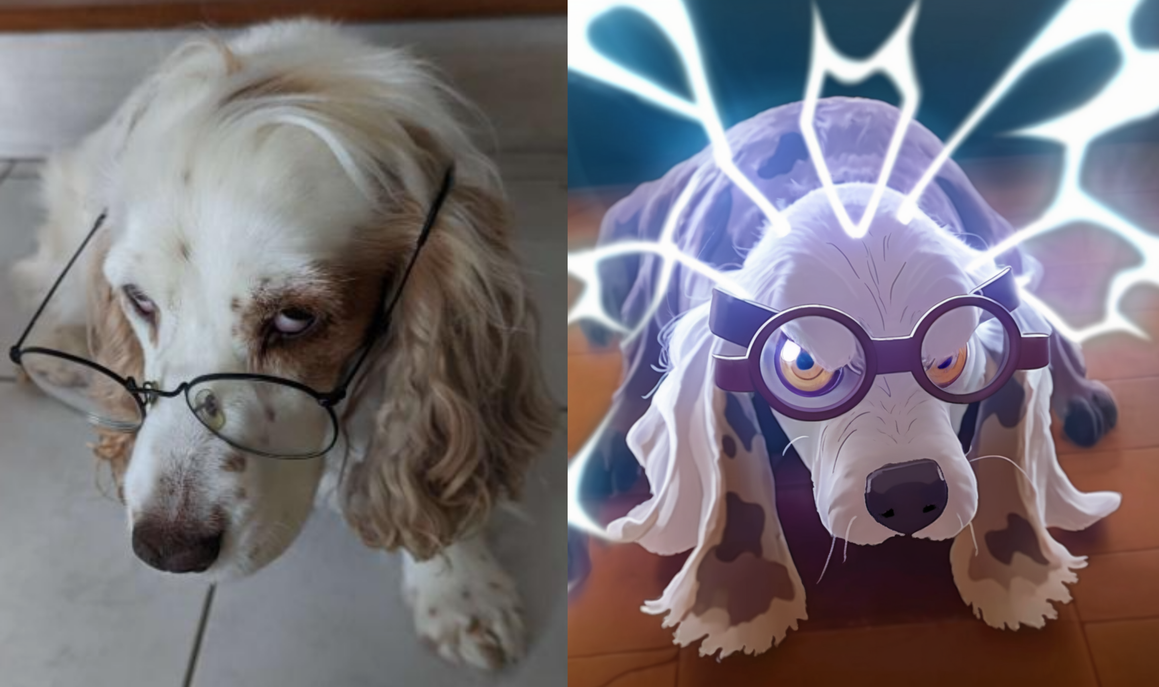 Can you wager what variety of Pokémon this dog develop into?