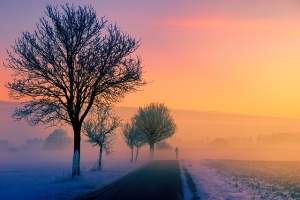 winter, fog, dawn