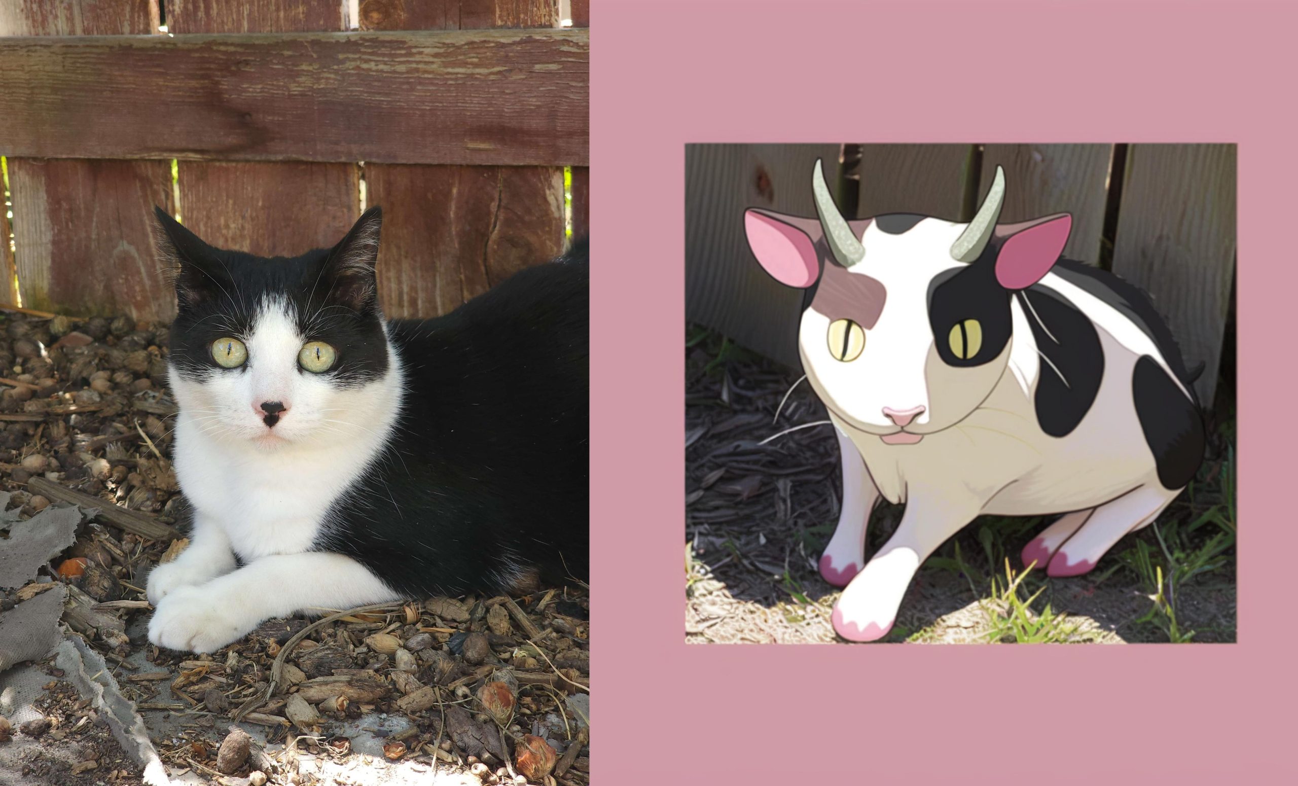 Creep over Miltank, this cat is now #1 finest cow Pokemon.
