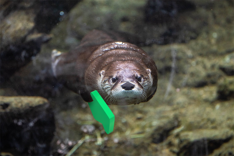 Otters with upvotes to rule the day.