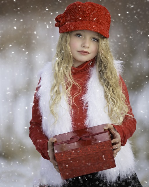winter wonderland, red, snow