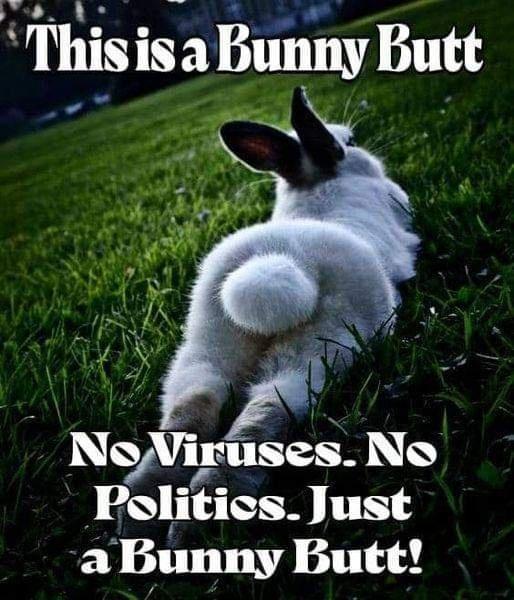 Bunny butt