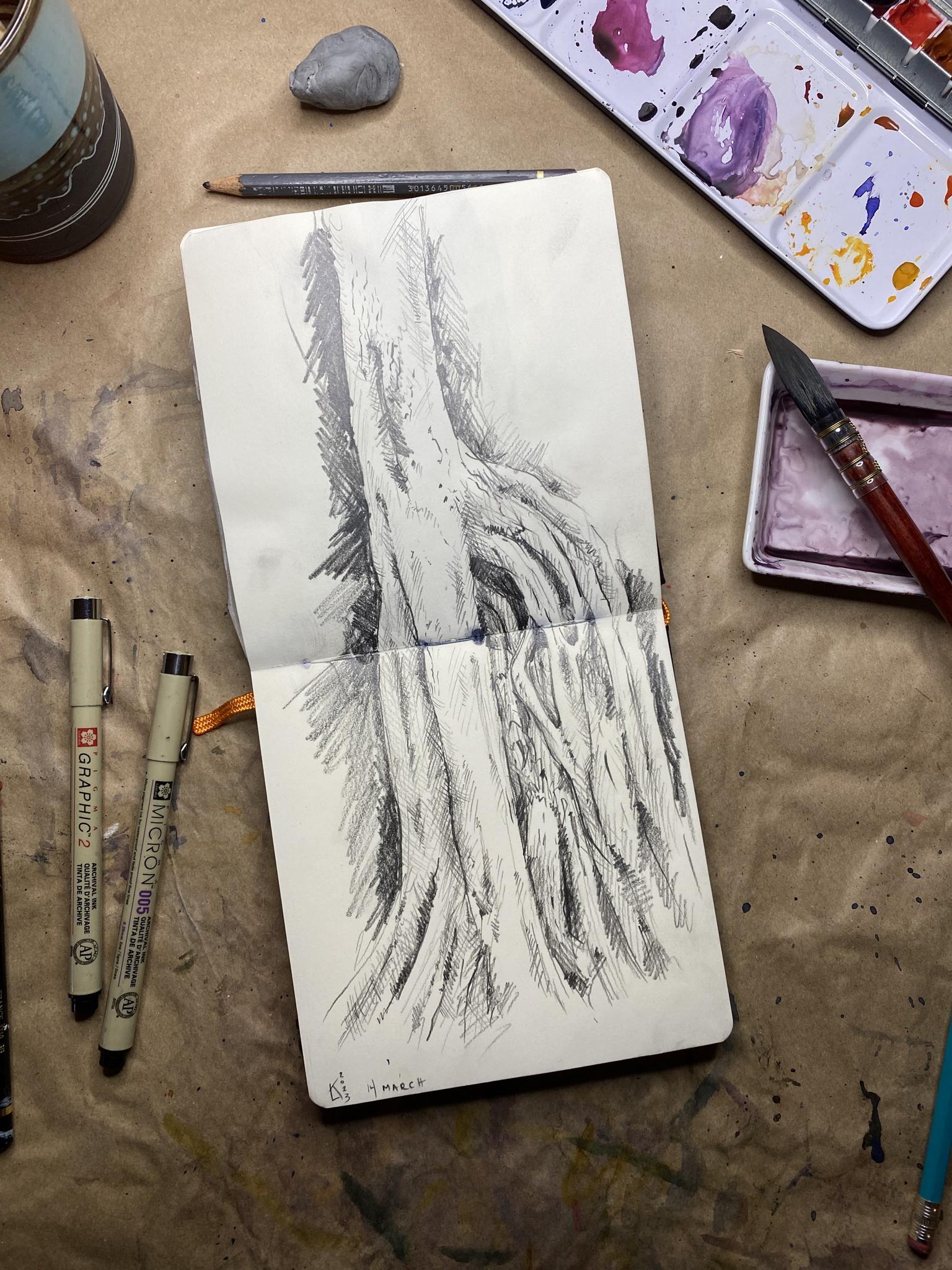 Tree Drawing – OC