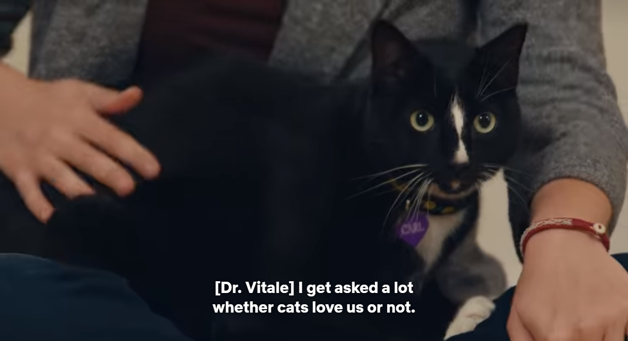 Cat researcher brings her baggage into cat documentary
