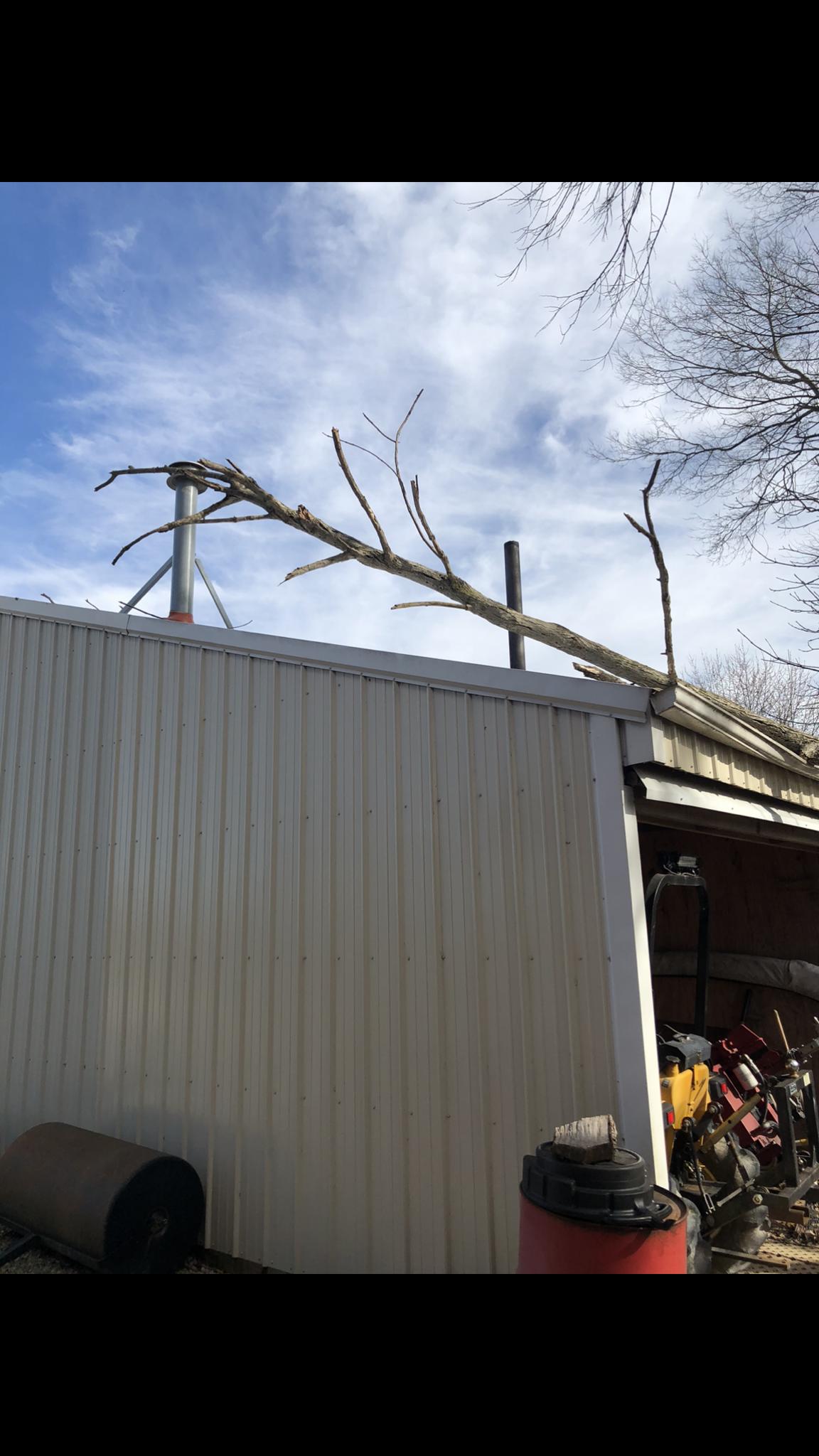 The wind become once so rotten a tree fell on my dads shop outback