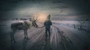 winter landscape, reindeer, boy