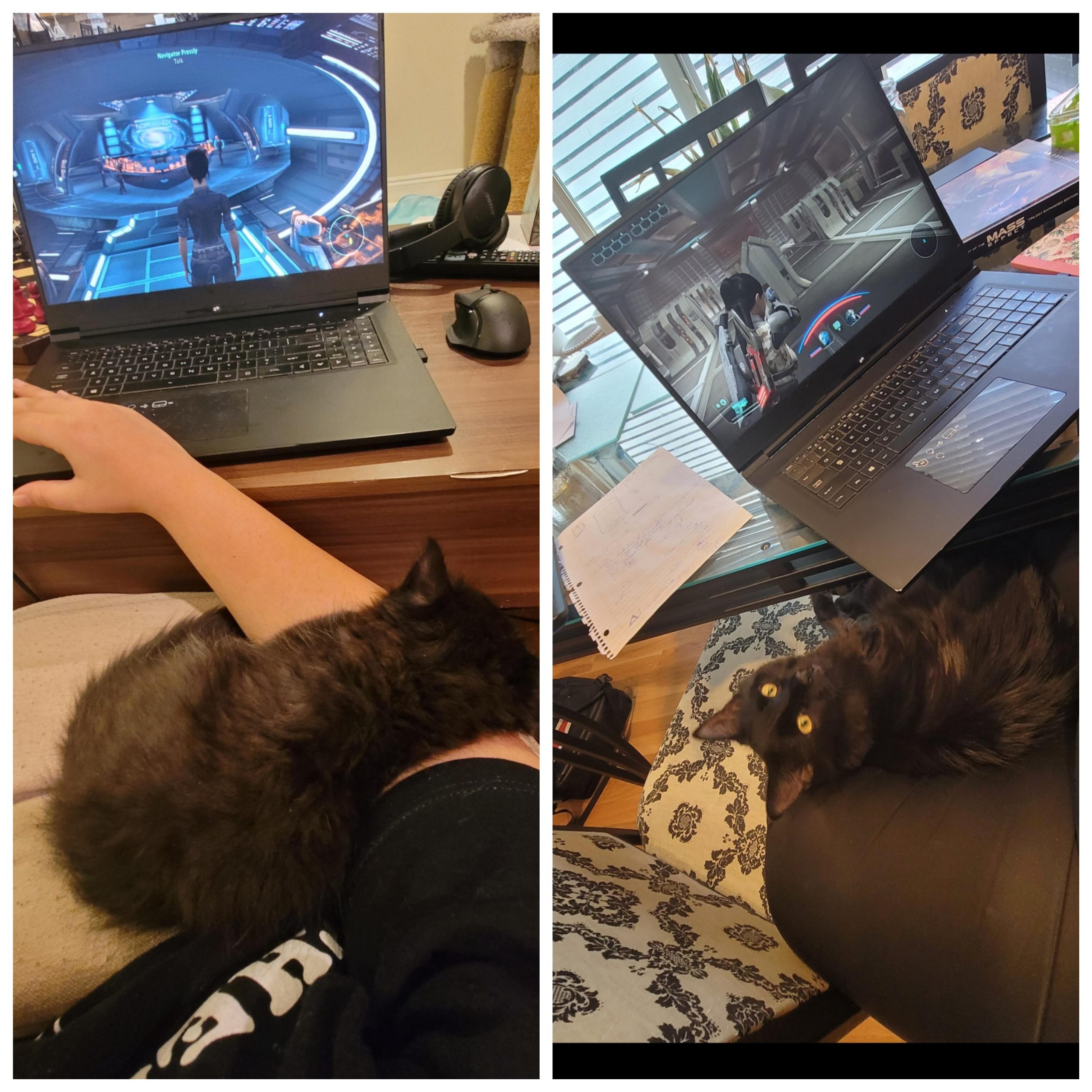 4 months vs 8 months– peaceful playing video games together.