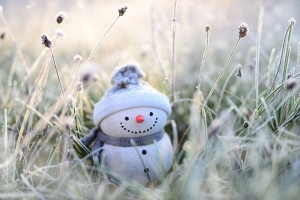 snowman, winter, grasses