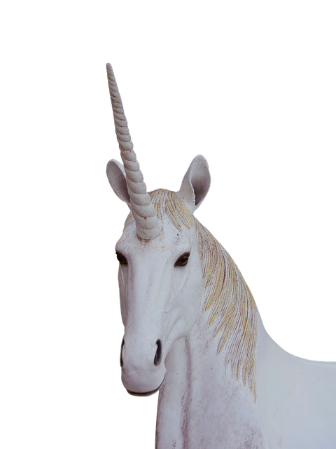 png, unicorn, animal magic