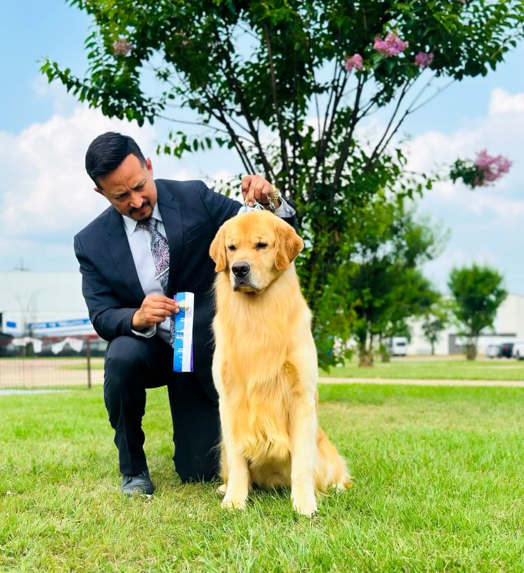 Goldenwind Millennium Shrimp one Hit The Tag – Maker earned Winners Dogs and Most productive of Winners for his first Predominant and first facets.