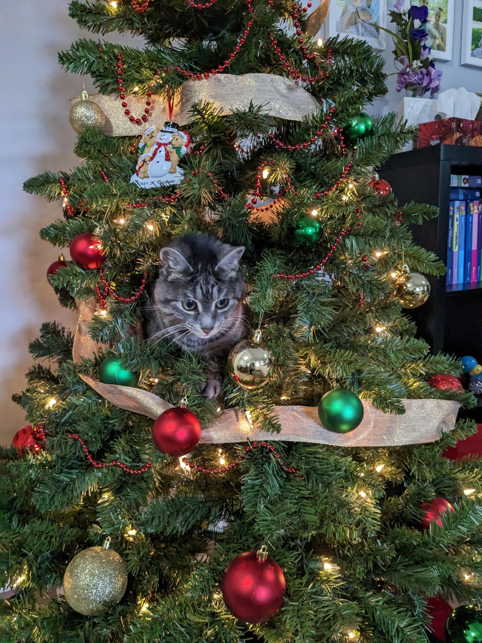 Kitty Christmas tree