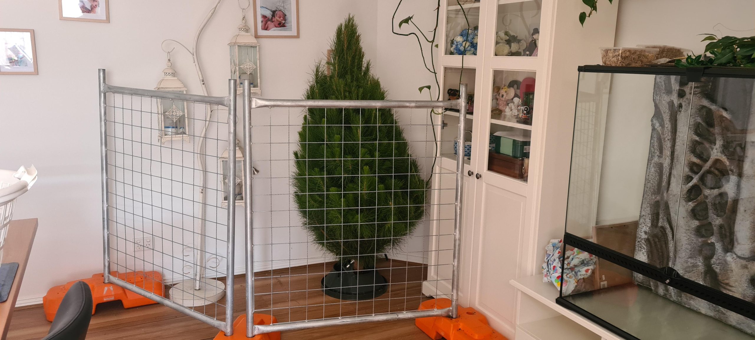 Toddler proofing the Christmas Tree strive 1