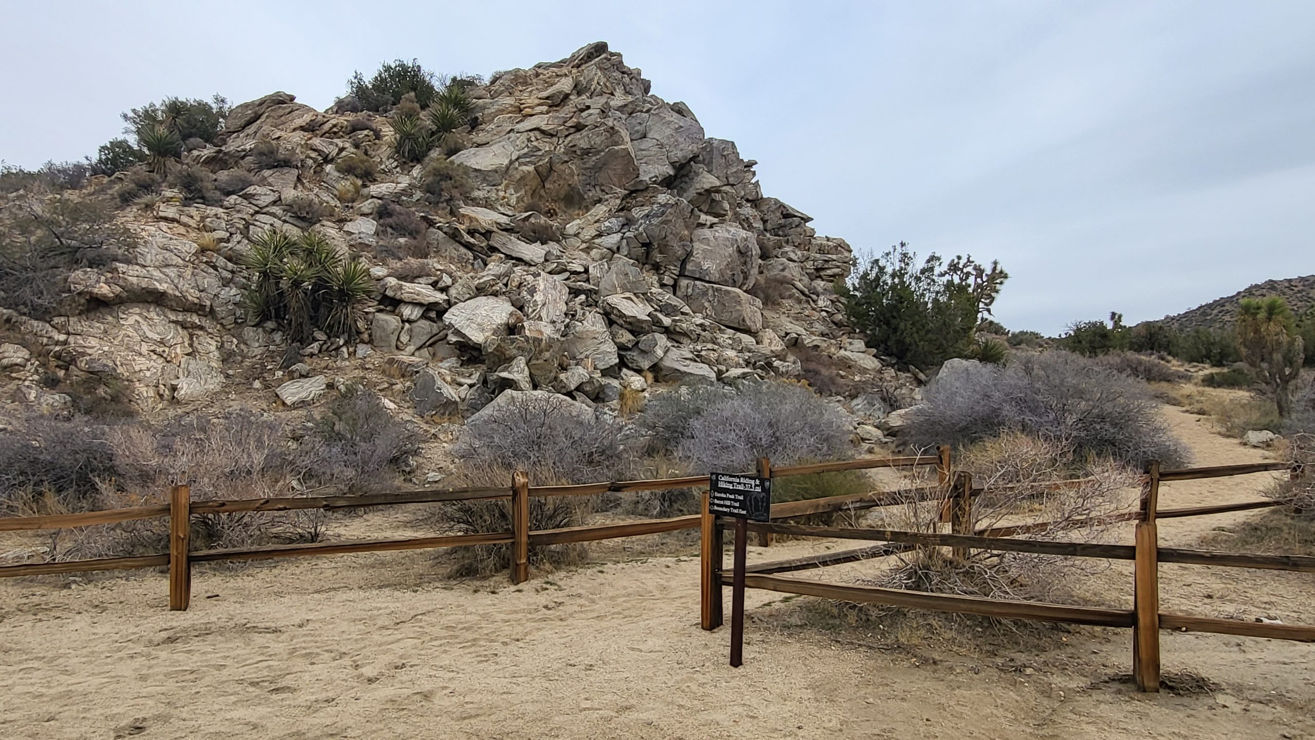 A Cloudy Afternoon Day Hike at Joshua Tree Nationwide Park, California – Unlit Rock Canyon place – December 2022