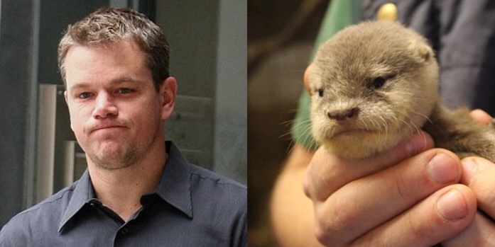 Otters and Matt Damon