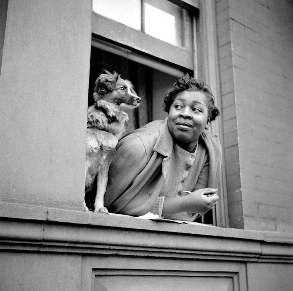 “Lady and Dog in a Window, Harlem”- Photo taken by photographer Gordon Parks in Unique York City, 1943