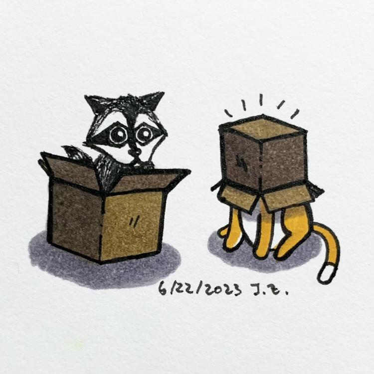 Raccoon sits in cardboard boxes with a foolish kitty 6/22/2023 Sketchdaily