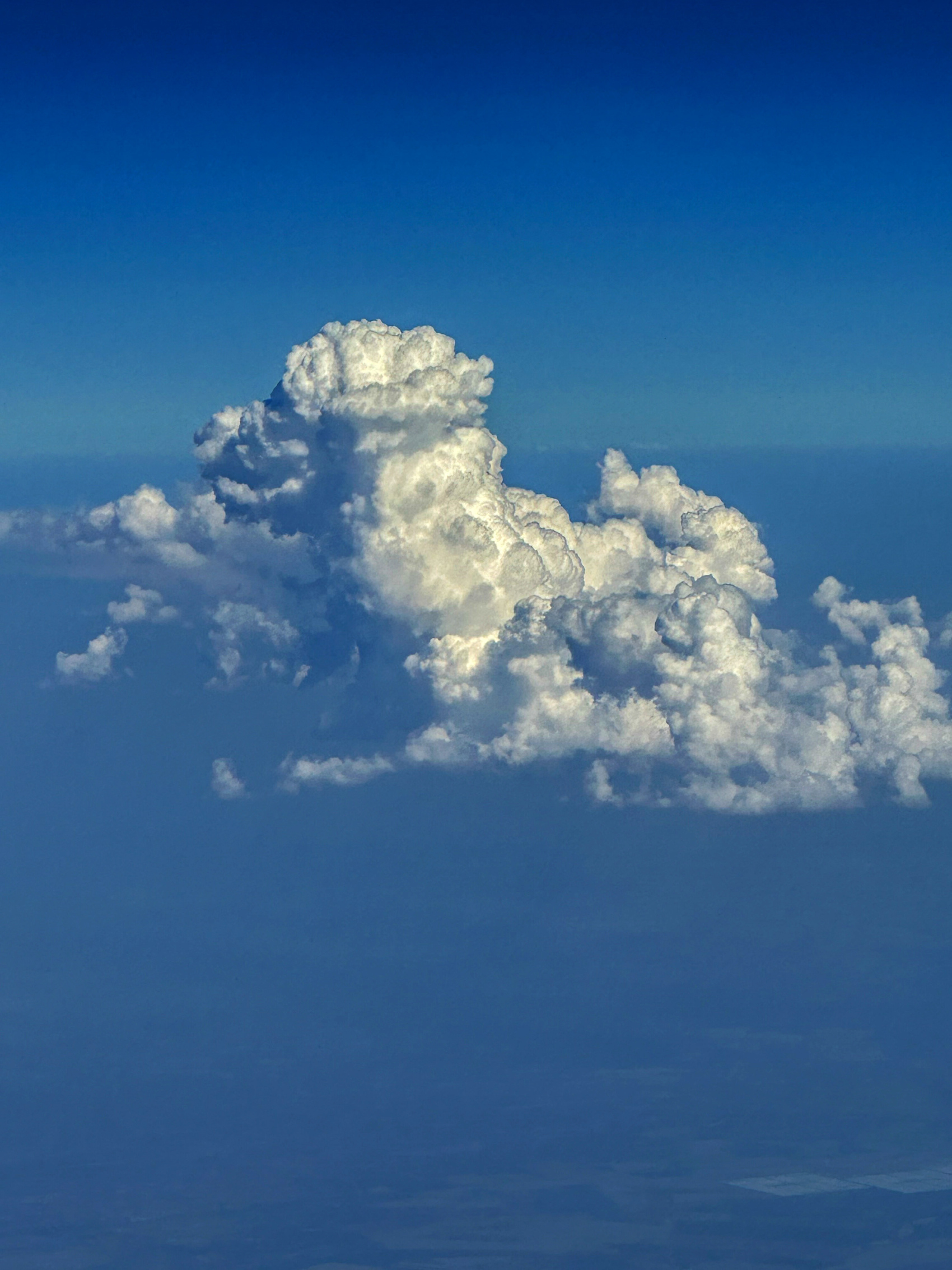 A photographer travelling from Manchester observed a canines-formed cloud from the window of a plane because it flew over Portugal. Photo: Will Cheung